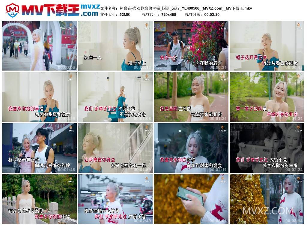 林嘉音-喜欢你给的幸福_国语_流行_YE400506
